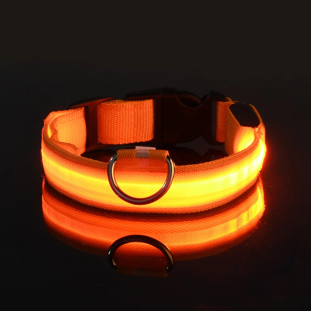 🐕 Pet Dog Collar™ 🌟