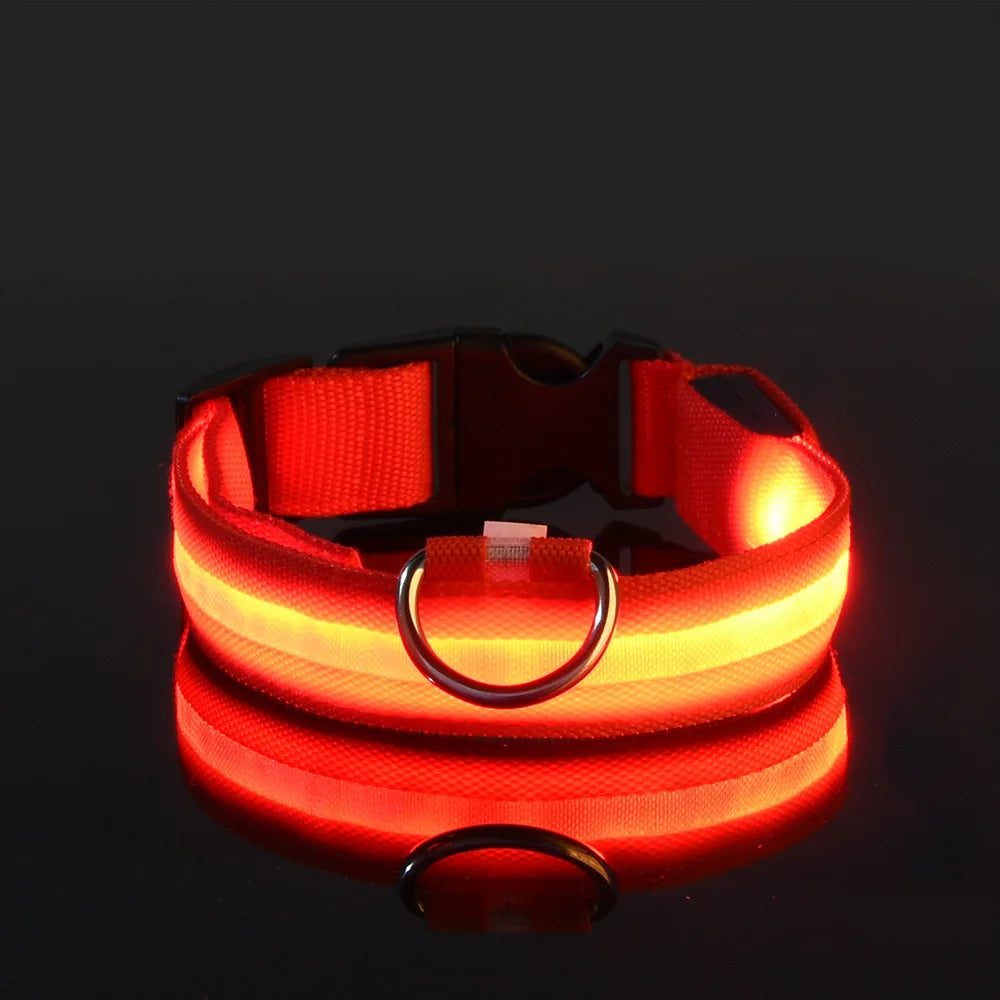 🐕 Pet Dog Collar™ 🌟