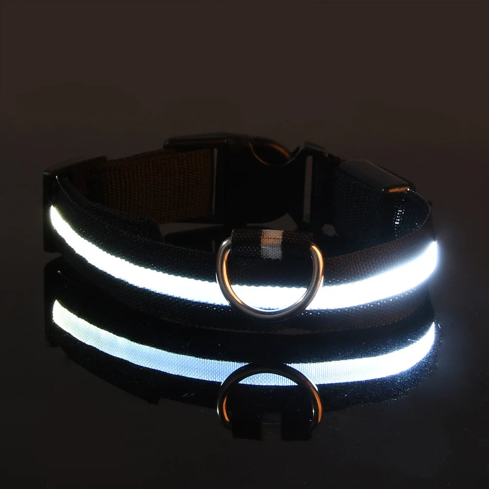 🐕 Pet Dog Collar™ 🌟