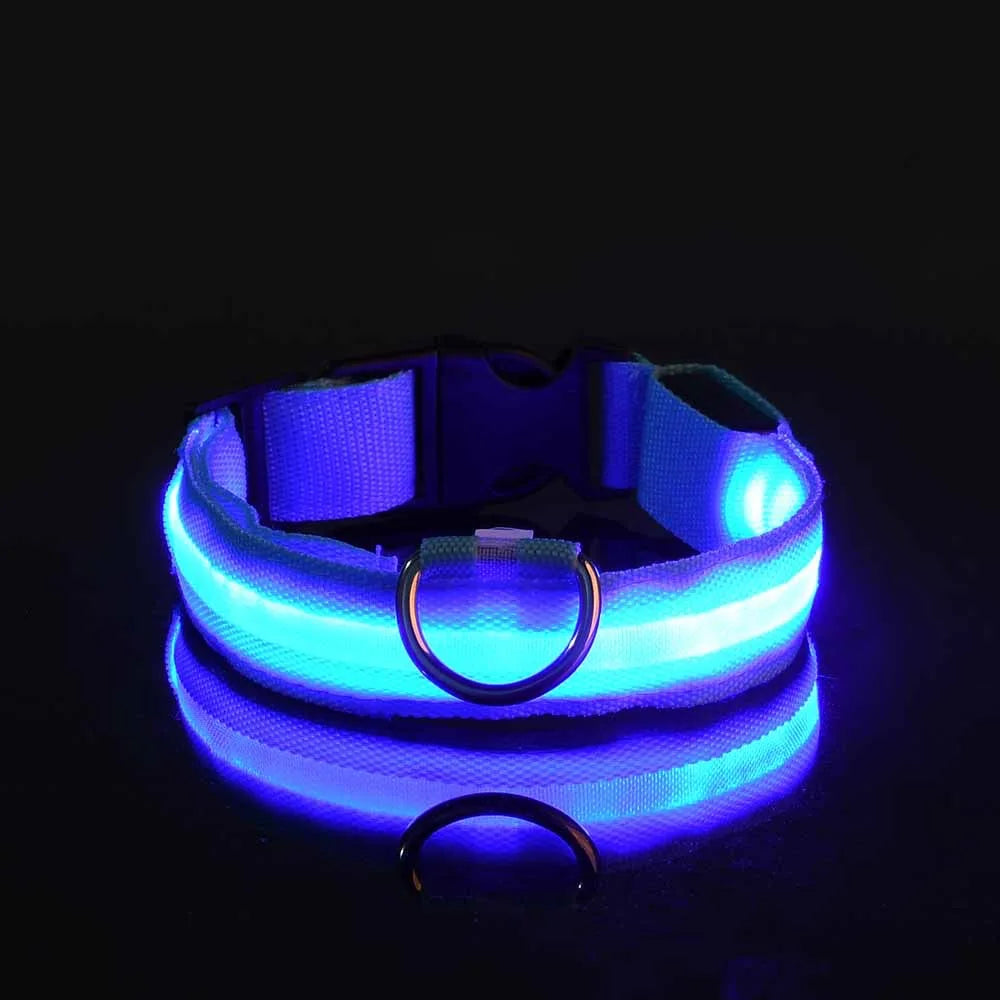 🐕 Pet Dog Collar™ 🌟