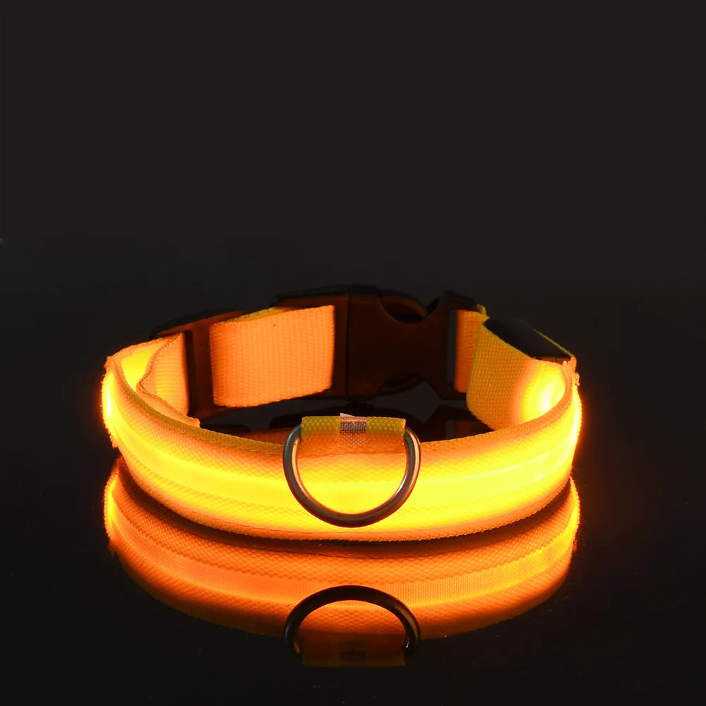 🐕 Pet Dog Collar™ 🌟