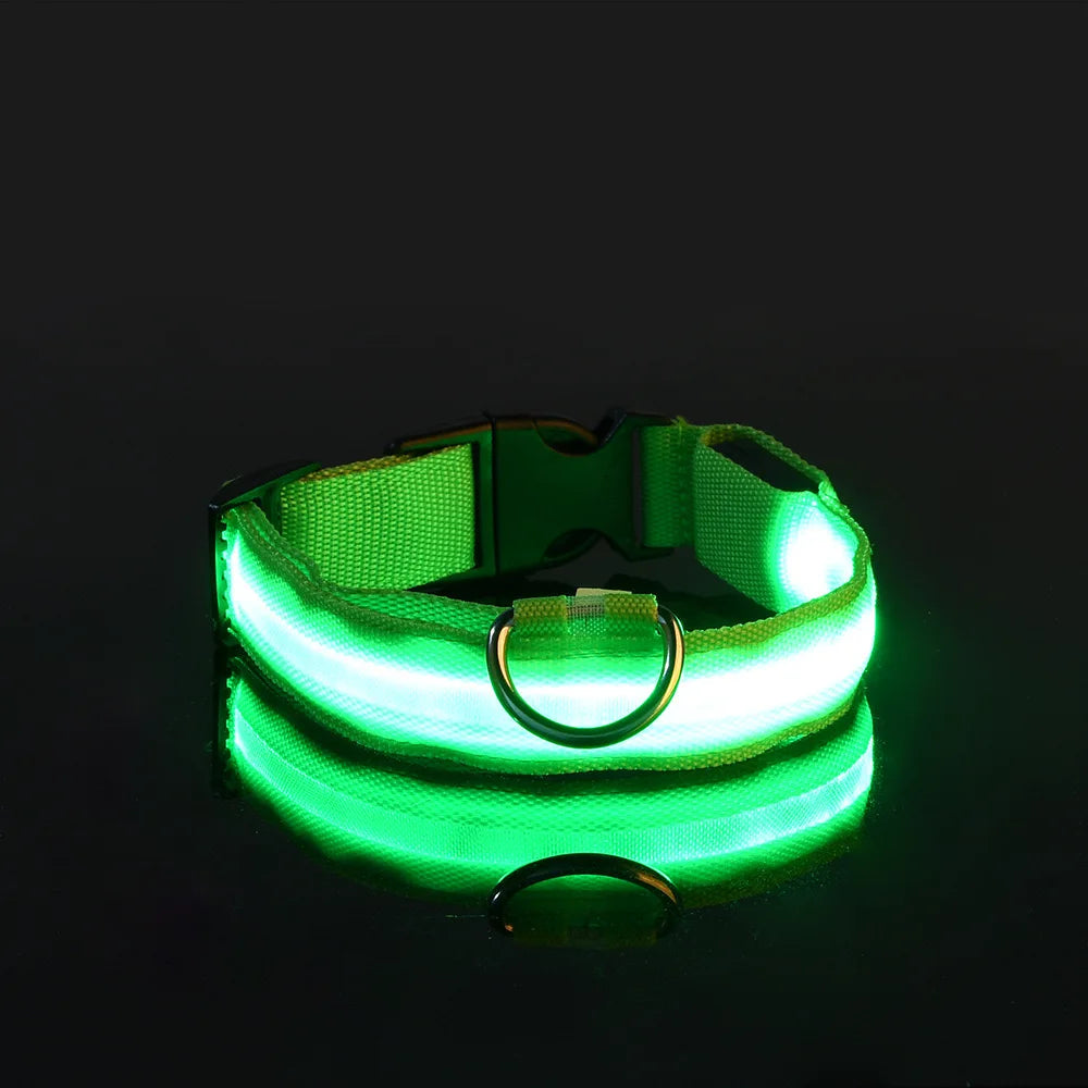🐕 Pet Dog Collar™ 🌟