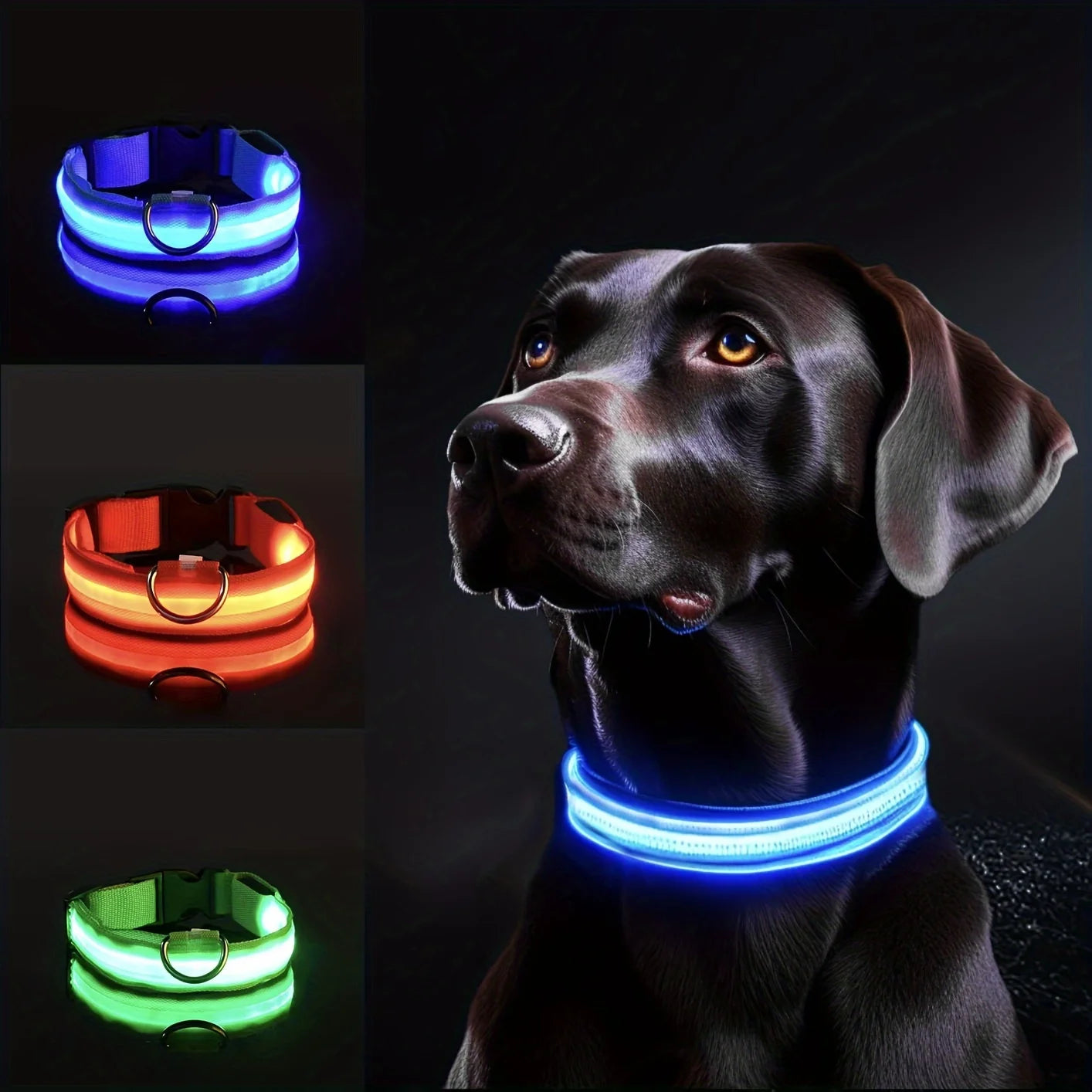 🐕 Pet Dog Collar™ 🌟