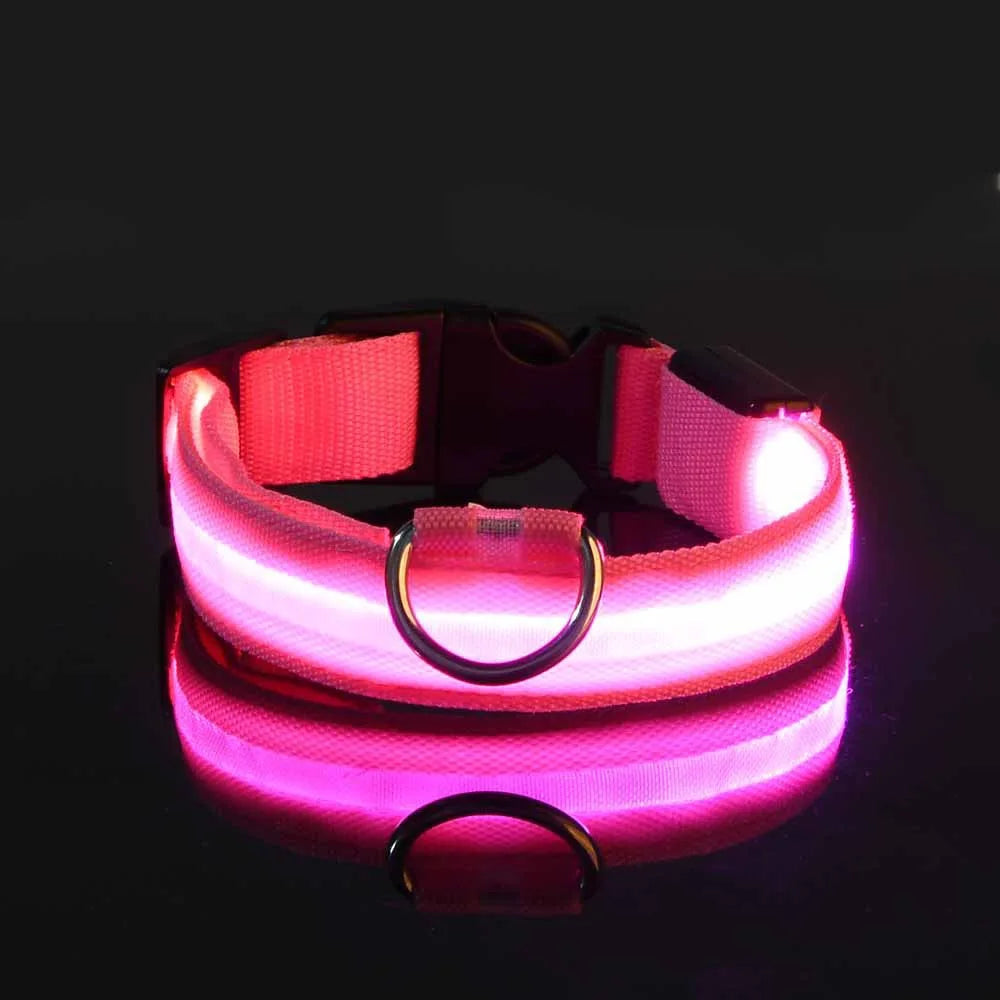 🐕 Pet Dog Collar™ 🌟